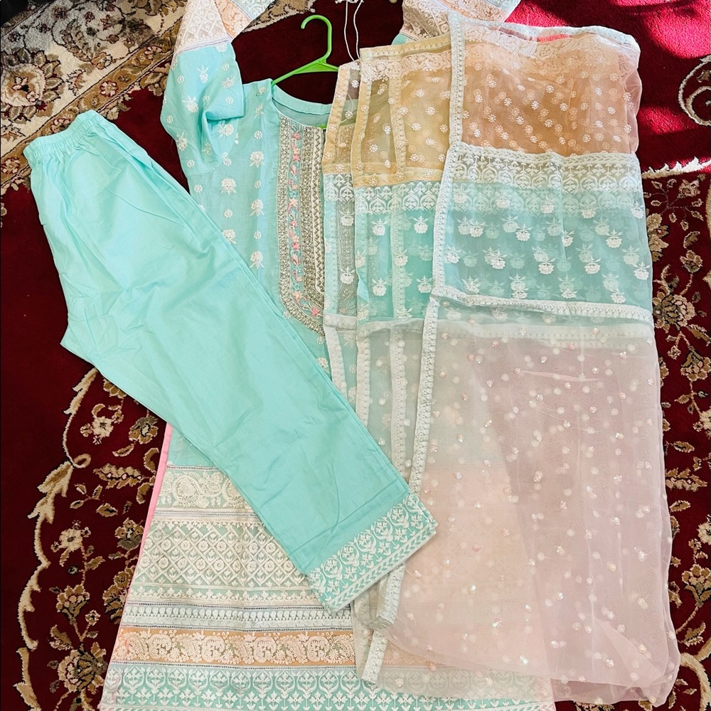 Pakistani dresses - Picture 7 of 12